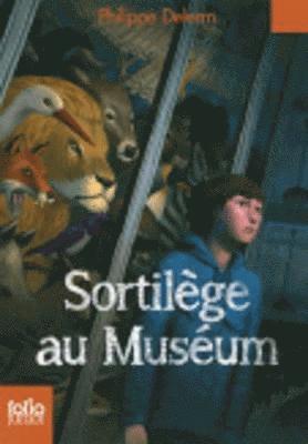 Sortilege au Museum 1