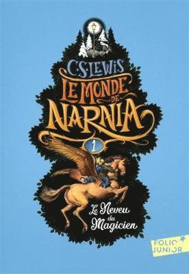 bokomslag Le neveu du magicien