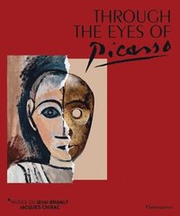 bokomslag Through the Eyes of Picasso
