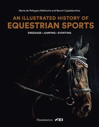 bokomslag An Illustrated History of Equestrian Sports: Dressage, Jumping, Eventing
