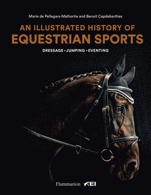 bokomslag An Illustrated History of Equestrian Sports