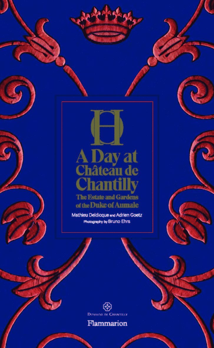 Adrien Goetz, Mathieu Deldicque - Day at Château de Chantilly, Inbunden
