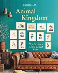 bokomslag Frameables: Animal Kingdom