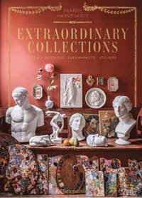 bokomslag Extraordinary Collections