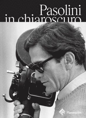 bokomslag Pasolini in Chiaroscuro