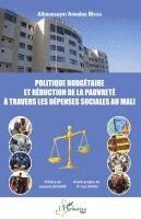 Alhousseyni Amadou Maïga - Politique budgétaire et réduction de la pauvreté à travers les dépenses sociales au Mali, Häftad