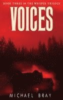 bokomslag Voices