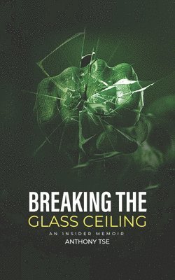 bokomslag Breaking the Glass Ceiling