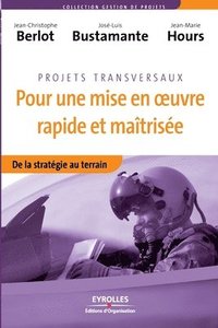 bokomslag Pour une mise en oeuvre rapide et maitrisee