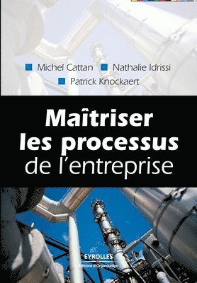 bokomslag Maîtriser les processus de l'entreprise