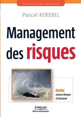 bokomslag Management des risques