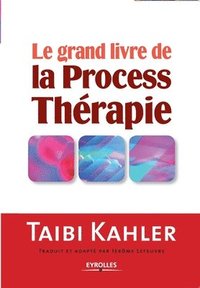 bokomslag Le grand livre de la process therapie