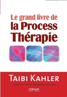 bokomslag grand livre de la process thérapie