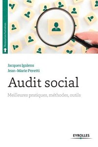 bokomslag Audit social