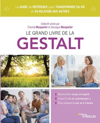 bokomslag Le grand livre de la gestalt