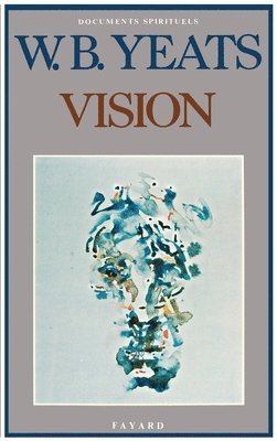 Vision 1