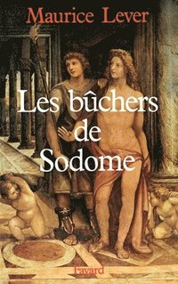 bokomslag Les Bûchers de Sodome