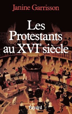 bokomslag Les Protestants au XVIe siècle