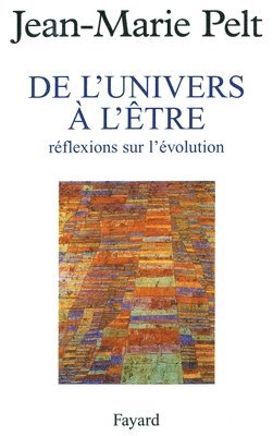 bokomslag De l'Univers à l'être