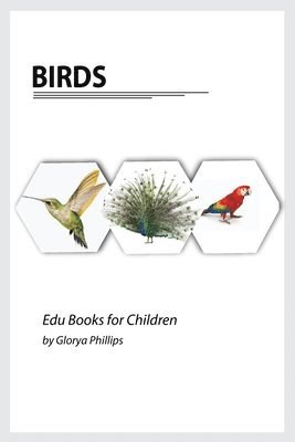 Glorya Phillips - Birds, Häftad