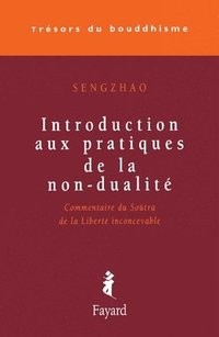 bokomslag Introduction aux pratiques de la non-dualité