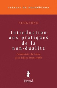 bokomslag Introduction aux pratiques de la non-dualité