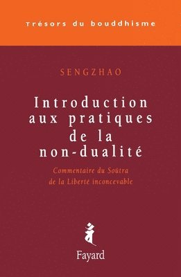 bokomslag Introduction aux pratiques de la non-dualité