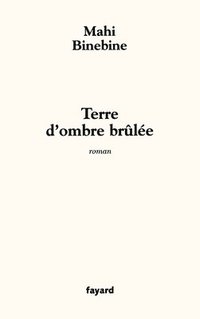 bokomslag Terre d'ombre brûlée