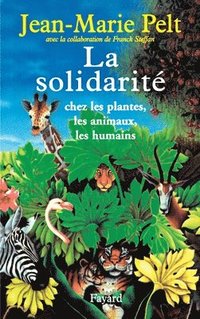 bokomslag La solidarité