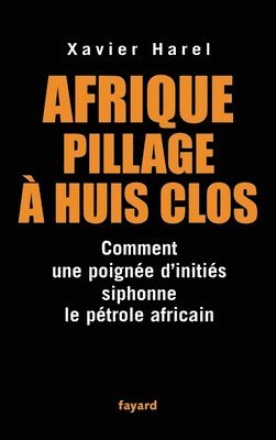 bokomslag Afrique pillage à huis clos