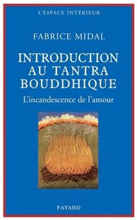 bokomslag Petite introduction au tantra bouddhique