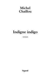 bokomslag Indigne indigo