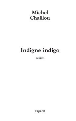 Michel Chaillou - Indigne indigo, Häftad. Tillgänglighet: Lägg i varukorg
