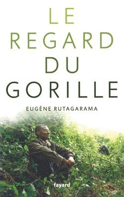 Le Regard Du Gorille 1