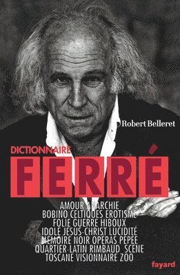 bokomslag Dictionnaire Ferre