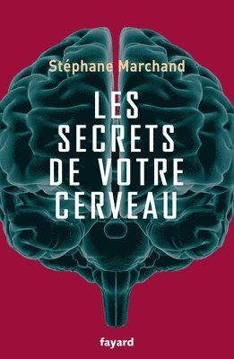 bokomslag Les secrets de votre cerveau