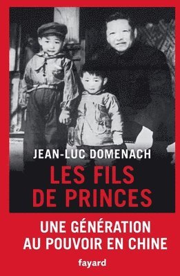 bokomslag Les fils de princes