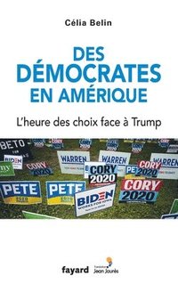 bokomslag Des démocrates en Amérique