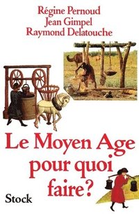 bokomslag Le Moyen-Age, pour quoi faire ?