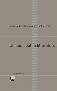 bokomslag CE Que Peut La Litterature
