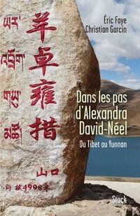 bokomslag Dans les pas d'Alexandra David Néel