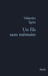 bokomslag Un fils sans mémoire