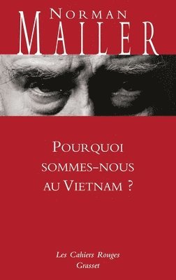 bokomslag Pourquoi sommes-nous au Vietnam?