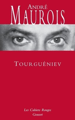 bokomslag Tourgueniev