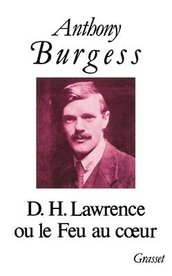 bokomslag D.H.Lawrence Ou Le Feu Au Coeur