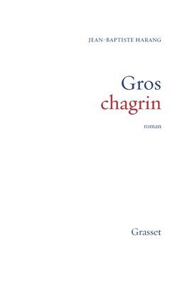 bokomslag Gros chagrin