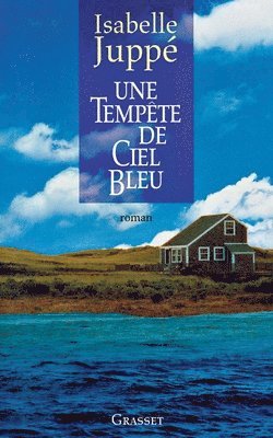 bokomslag Une tempête de ciel bleu