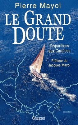 bokomslag Le grand doute