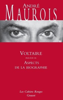 bokomslag Voltaire