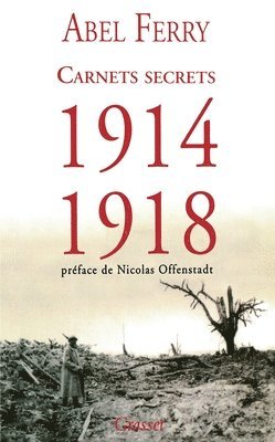 bokomslag Carnets Secrets 1914 - 1918